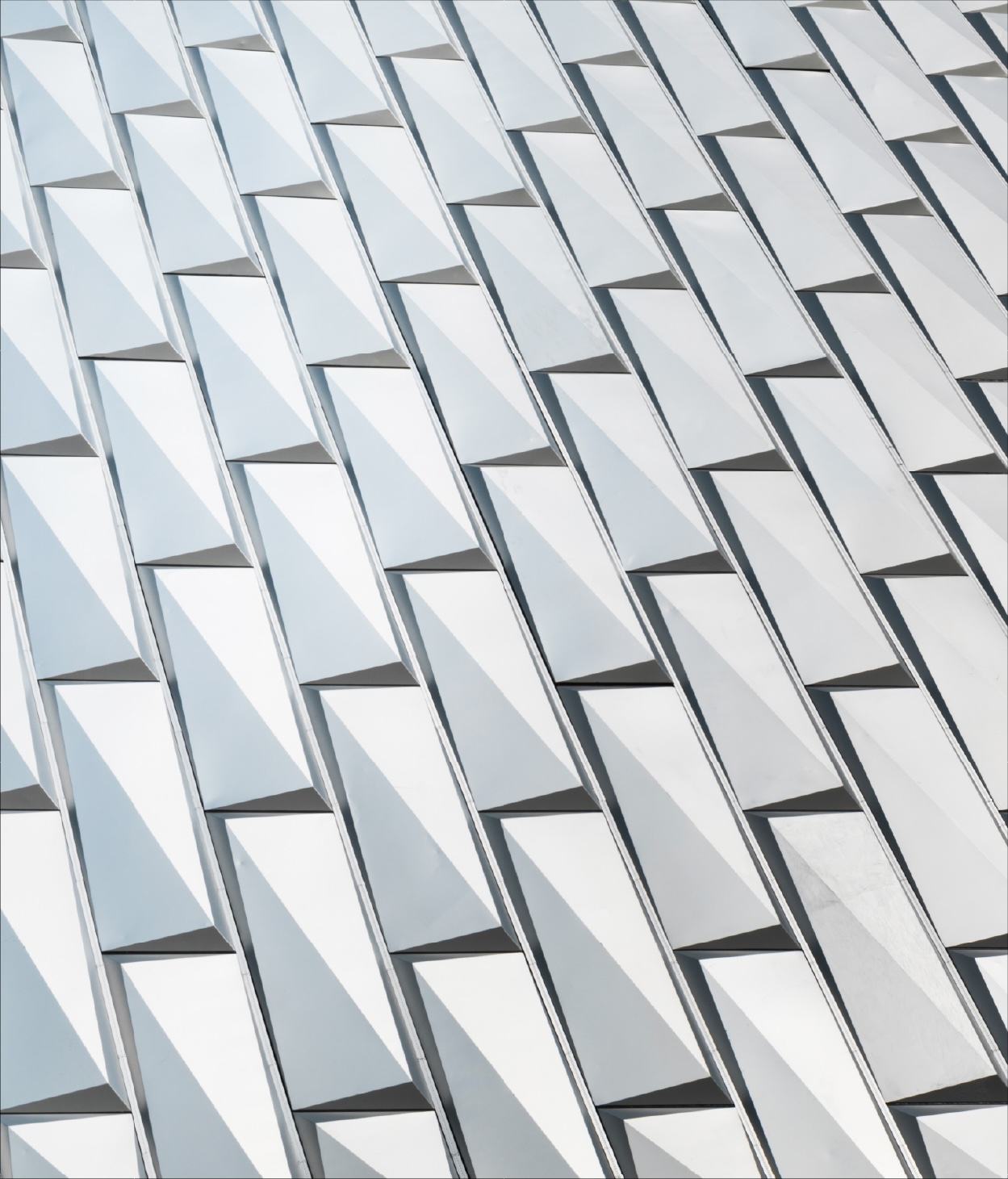 Paneled meshed roof surface
