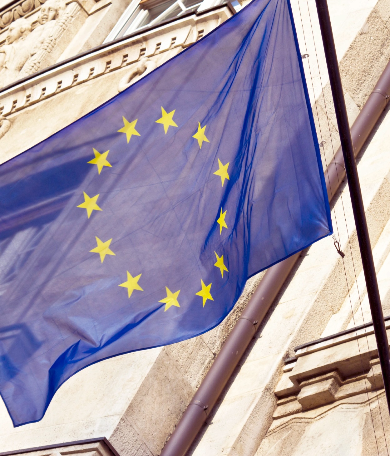 The EU flag